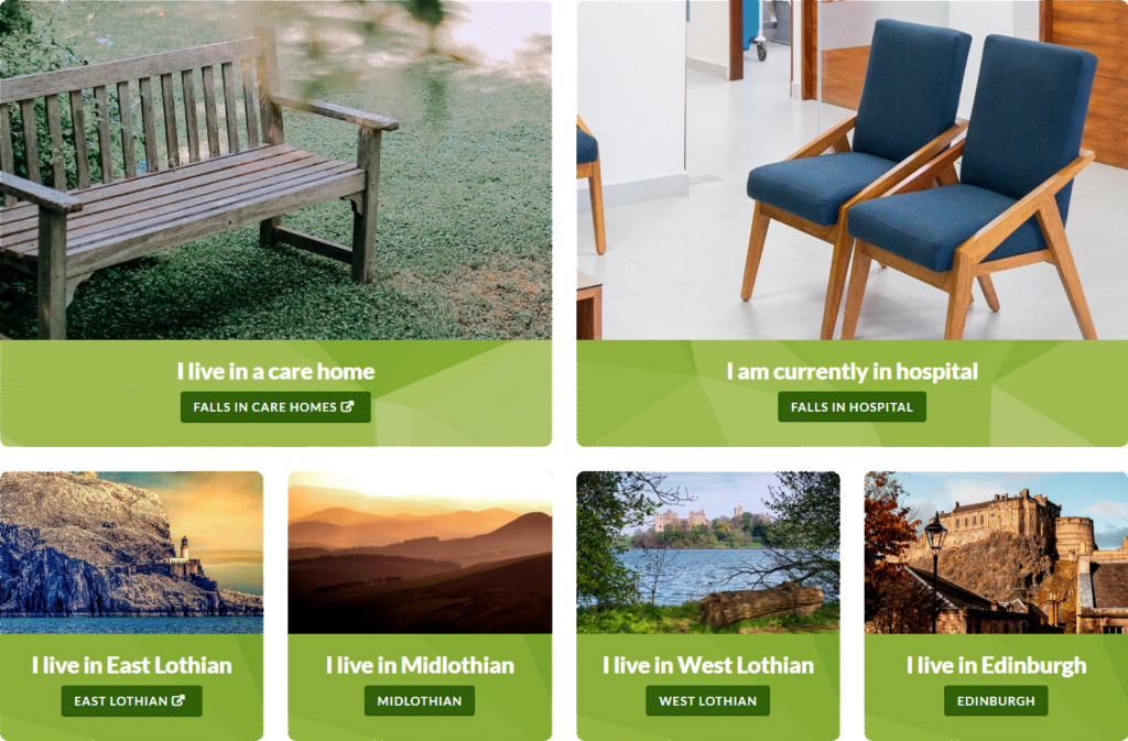 Screen capture of Falls Support website